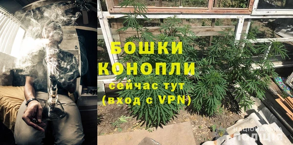 ГАЛЛЮЦИНОГЕННЫЕ ГРИБЫ Краснослободск
