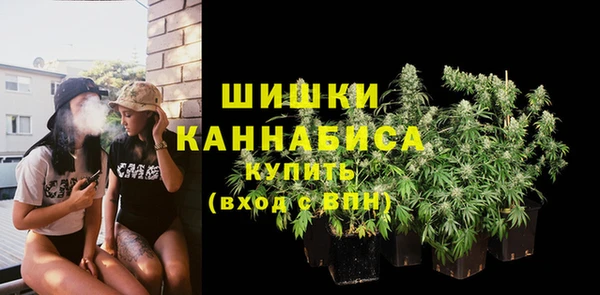 ГАЛЛЮЦИНОГЕННЫЕ ГРИБЫ Краснослободск