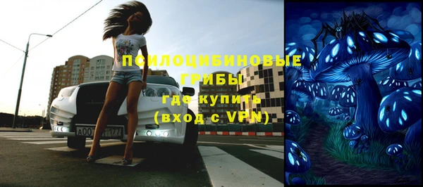 Альфа ПВП Корсаков