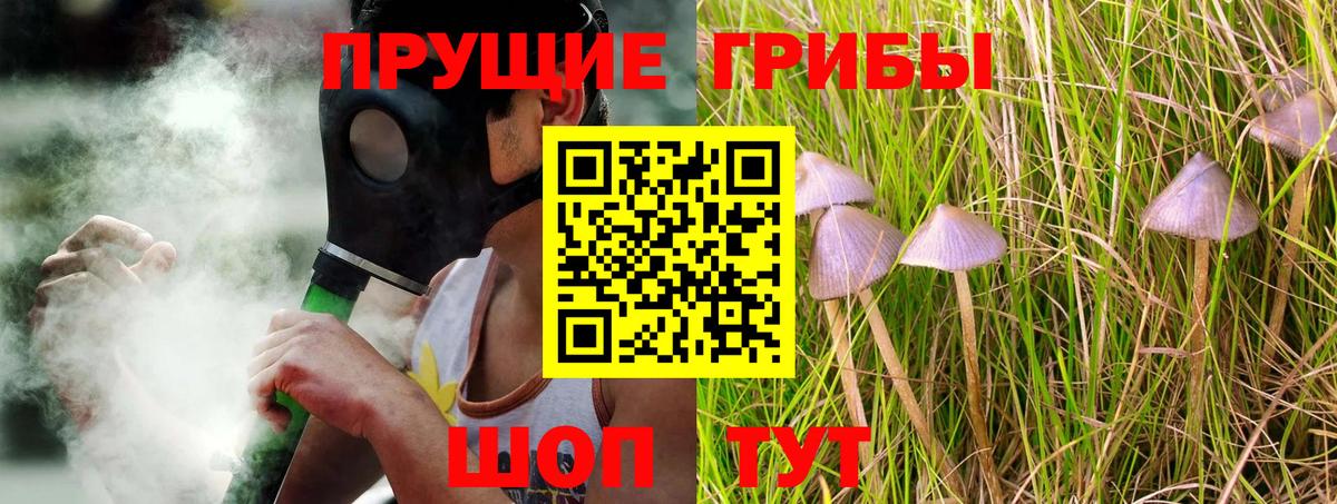 Галлюциногенные грибы GOLDEN TEACHER Таганрог