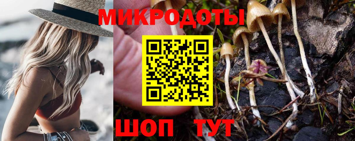 Таганрог  Псилоцибиновые грибы мицелий  Вход с VPN 