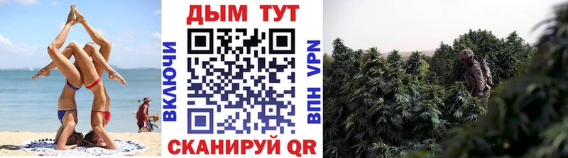 МАРИХУАНА сатива Таганрог